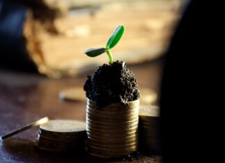 Ile wynosi dywidenda Coca Coli? Ile wynosi dywidenda Coca Coli?