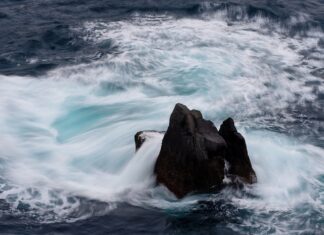 Od czego zależy cena kryptowaluty? Od czego zależy cena kryptowaluty?