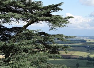 Jak wycena bilansowa wpływa na wynik finansowy? Jak wycena bilansowa wpływa na wynik finansowy?