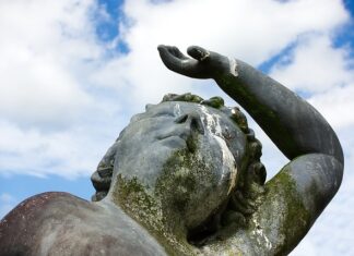 Czy kał jest wydalany przez układ wydalniczy? Czy kał jest wydalany przez układ wydalniczy?