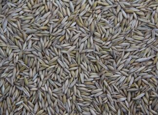 Czego najwięcej produkuje się w Polsce? Czego najwięcej produkuje się w Polsce?