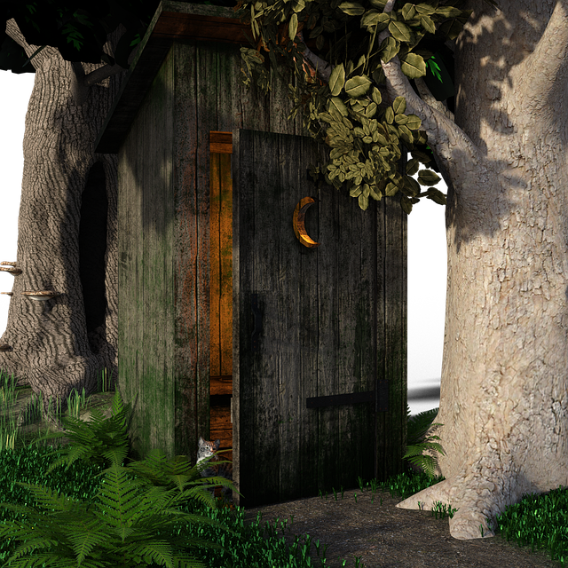 Czy kibel to mebel? Czy kibel to mebel?