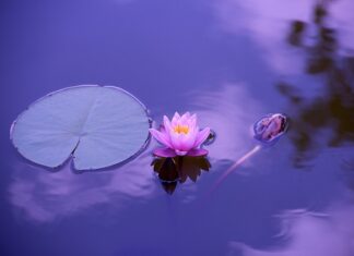 Kiedy stawka 0%? Kiedy stawka 0%?