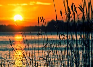 Co jest instrumentem pochodnym? Co jest instrumentem pochodnym?