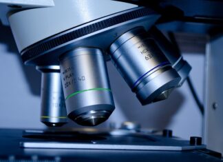 Czy warto iść na studia ekonomiczne? Czy warto iść na studia ekonomiczne?