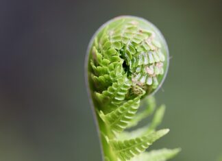 Jaki rocznik kończy podstawówkę? Jaki rocznik kończy podstawówkę?