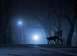 Z kim Polska ma największą wymianę handlowa? Z kim Polska ma największą wymianę handlowa?