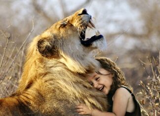 Jaka jest najlepsza giełda? Jaka jest najlepsza giełda?