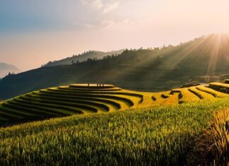 Co to jest lead w artykule? Co to jest lead w artykule?