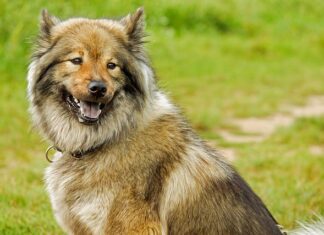 Od jakiej średniej zdaje się klasę? Od jakiej średniej zdaje się klasę?